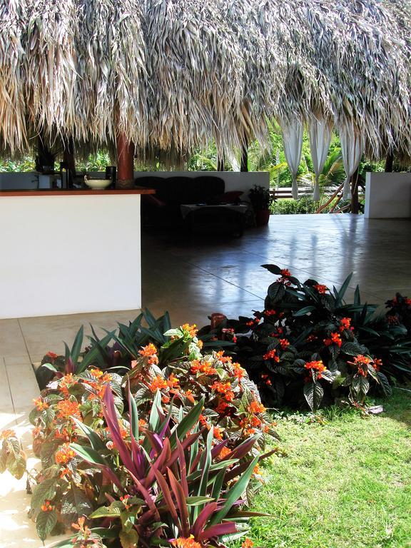 La Casa De Sergio Y Cristina Las Terrenas Exterior photo
